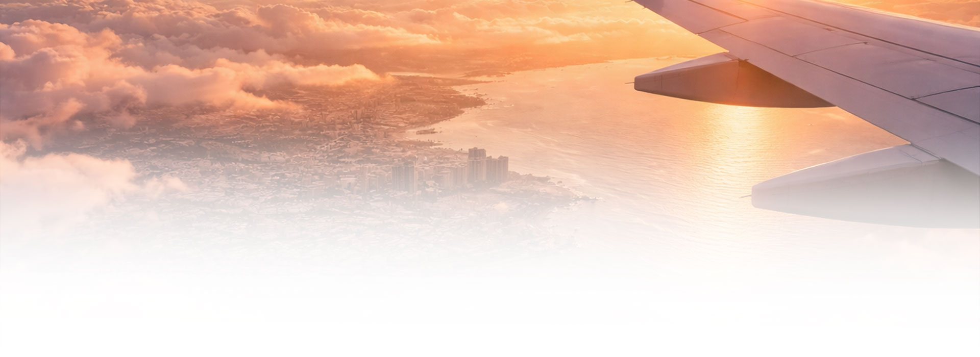 travelbase-fly-to-sunset-wing-faded-700